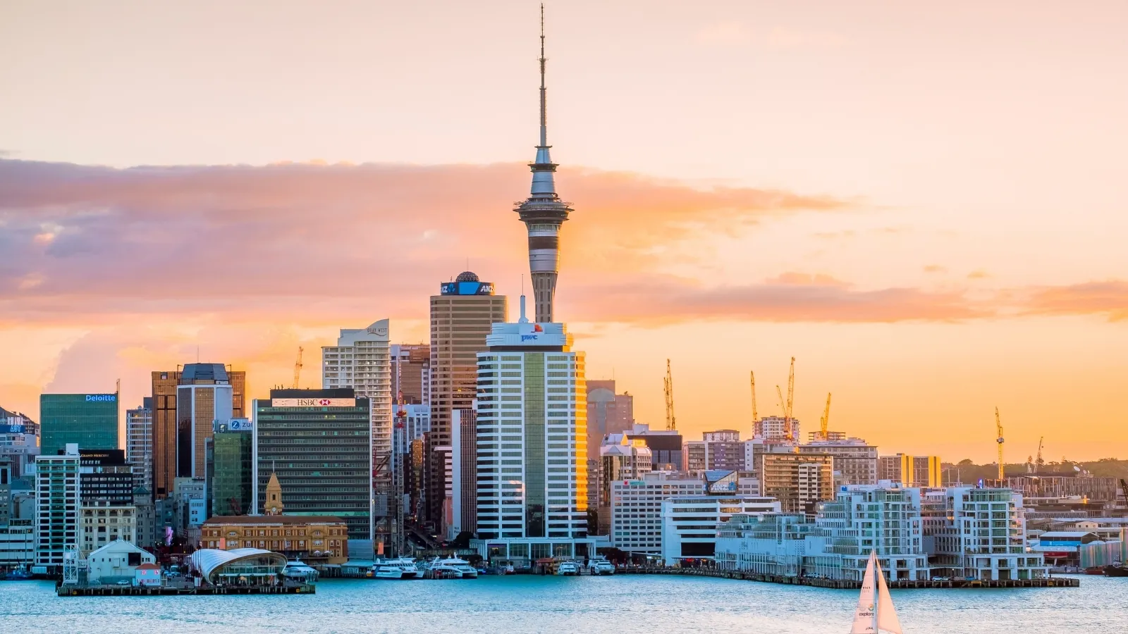 Study in New Zealand